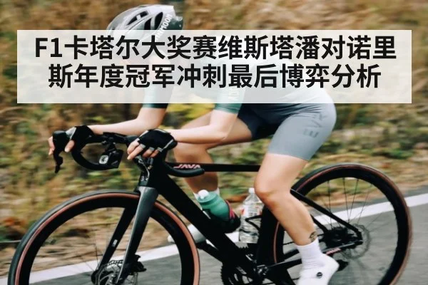 F1卡塔尔大奖赛维斯塔潘对诺里斯年度冠军冲刺最后博弈分析